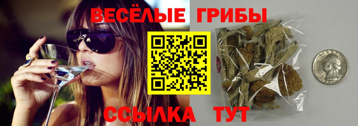 Псилоцибиновые грибы MAGIC MUSHROOMS  Галлюциногенные грибы GOLDEN TEACHER  Артёмовский  Вход с VPN 